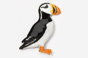 A black and white bird with orange beak