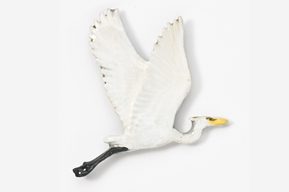 A white bird flying in the air with its wings spread.