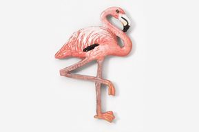 A pink flamingo standing on one foot.