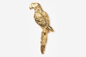 A gold parrot sitting on top of a white wall.