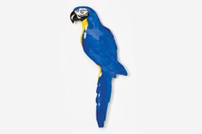 A blue parrot is standing on its hind legs.