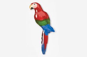 A red and green parrot is standing up.