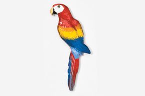 A colorful parrot is standing on the ground.