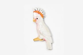 A white bird with an orange crown on its head.