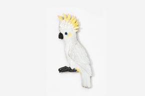 A white bird with yellow feathers on its head.