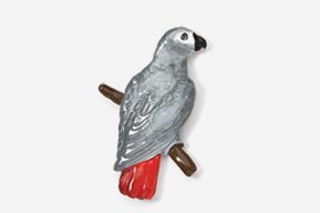 A gray parrot with red beak sitting on a branch.