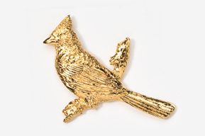 A gold bird is sitting on the ground.