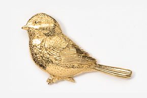 A gold bird is sitting on the ground.