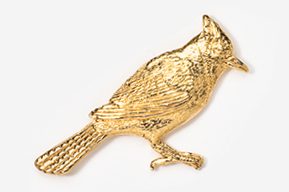 A gold bird is sitting on the ground.