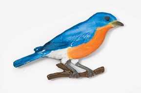 A blue bird with orange feathers sitting on top of a branch.