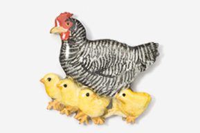 A chicken and chicks are standing next to each other.