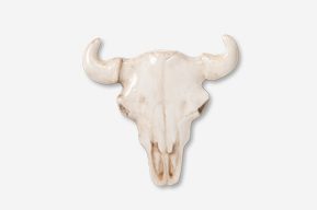 A white cow skull with horns on top of it.