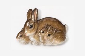 A brown and white rabbit with two baby bunnies.