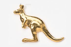 A gold kangaroo is sitting on the ground.