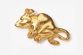 A gold rat is sitting on the ground.