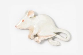 A white mouse is laying down on the ground.