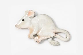 A white mouse is sitting on the ground.