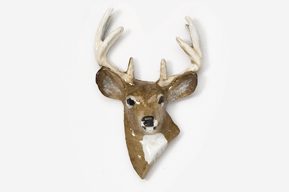 A deer head with antlers hanging on the wall.