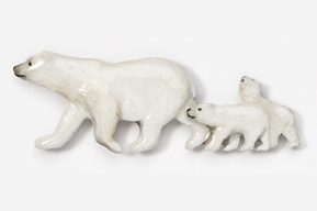 A white bear and cub are walking together.