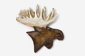 A moose head with large antlers on top of it.