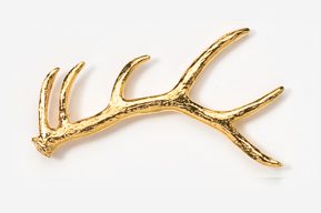 A gold antler is shown on top of the white background.