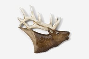 A deer head with antlers on top of it.