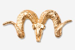 A gold ram 's head is shown in this picture.