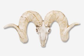 A ram 's head is shown in front of a white background.