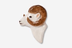 A ram head with horns on it's face.