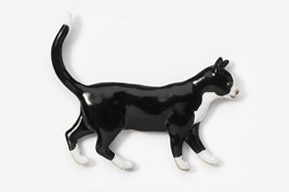 A black and white cat is walking on the ground.