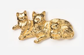 A gold cat brooch is sitting next to another one.