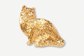 A gold cat sitting on top of the ground.