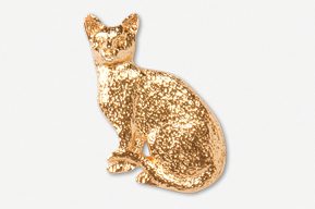 A gold cat sitting on top of the ground.