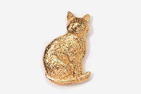 A gold cat sitting on top of a white table.