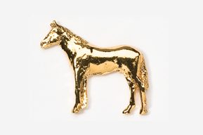 A gold horse is standing in front of the camera.