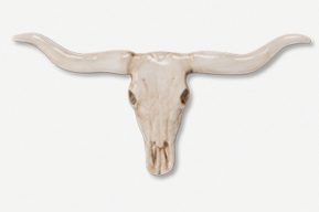 A white cow skull with horns on top of it.