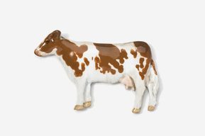 A brown and white cow standing on top of a field.