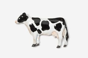 A black and white cow is standing up