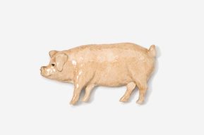 A pig is standing in the middle of an image.