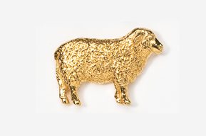 A gold sheep is standing in front of the camera.