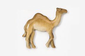 A camel standing on top of a white wall.