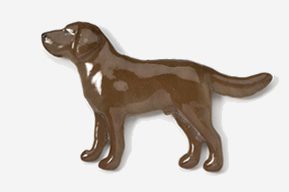 A chocolate labrador retriever dog standing on top of a white surface.