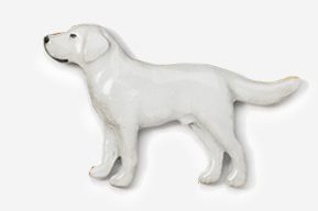 A white dog is standing on the ground