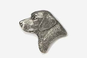 A dog 's head is shown in the shape of a brooch.