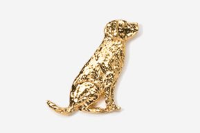 A gold dog sitting on the ground.