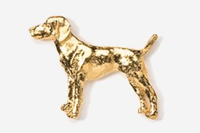 A gold dog is standing in front of the camera.