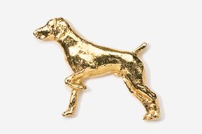 A gold dog is standing up in the air.