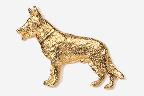 A gold dog is standing in front of the camera.