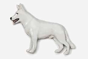 A white dog is standing up and looking at the ground.