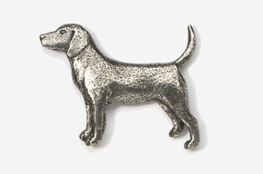 A silver dog is standing up to the side.